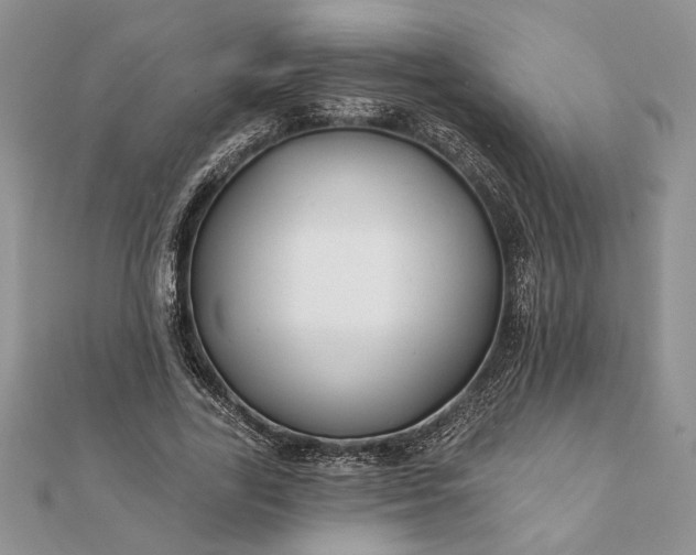 X0000112060731200908181157