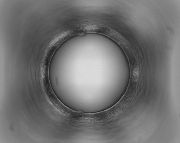 X0000112060732200908181157