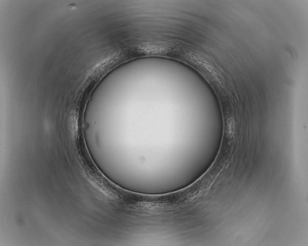 X0000112060733200908181157