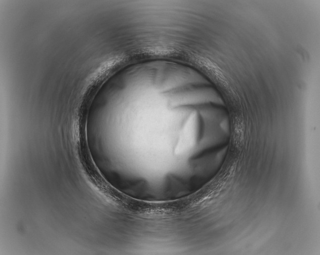 X0000112060734200908181157