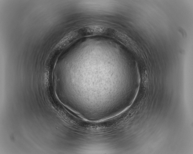 X0000112060735200908181157