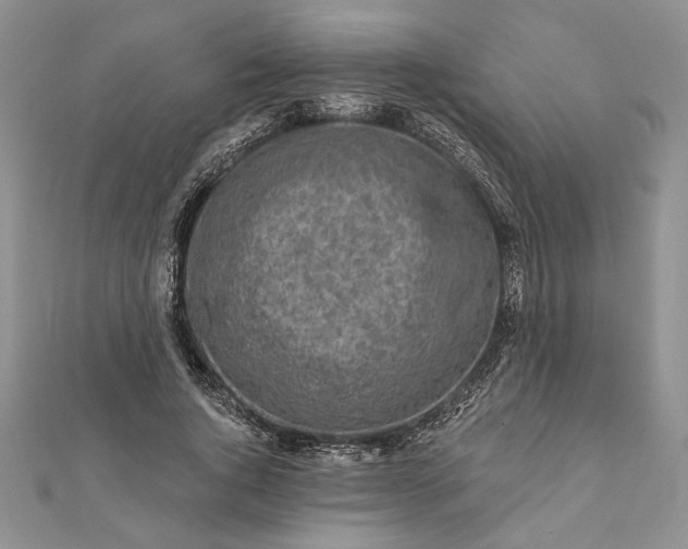 X0000112060736200908181157