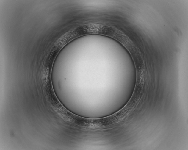 X0000112060737200908181157