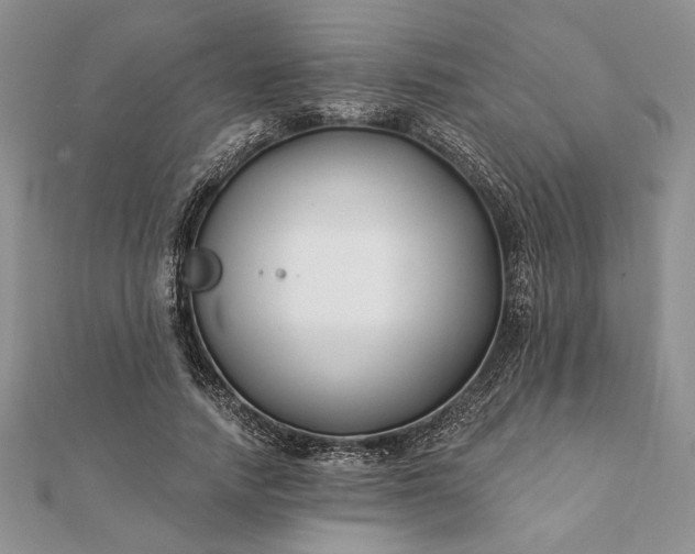 X0000112060738200908181157