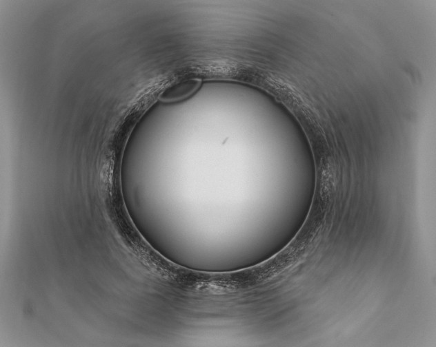 X0000112060739200908181157