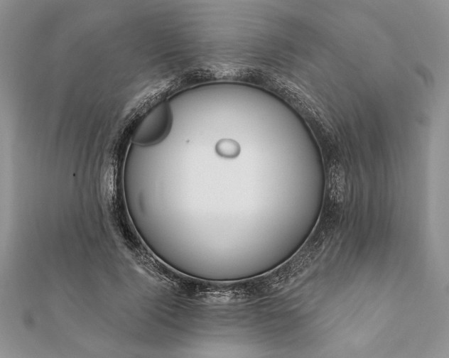 X0000112060740200908181157