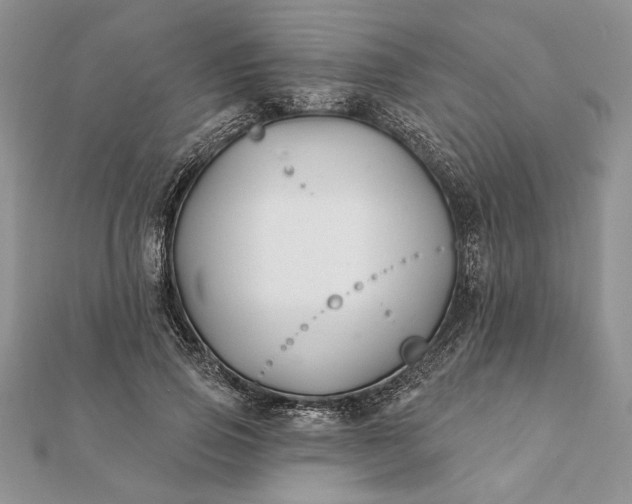 X0000112060741200908181157