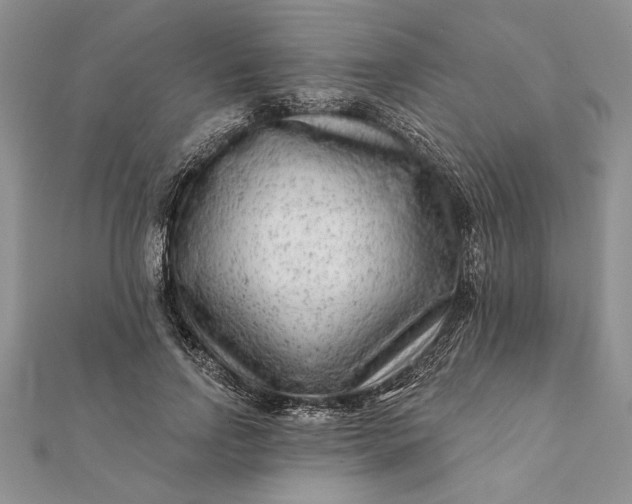 X0000112060742200908181157