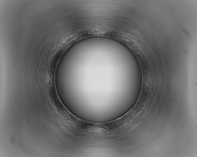 X0000112060743200908181157