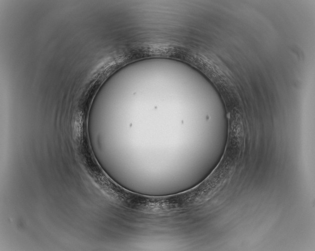 X0000112060744200908181157