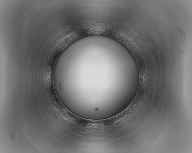 X0000112060745200908181157