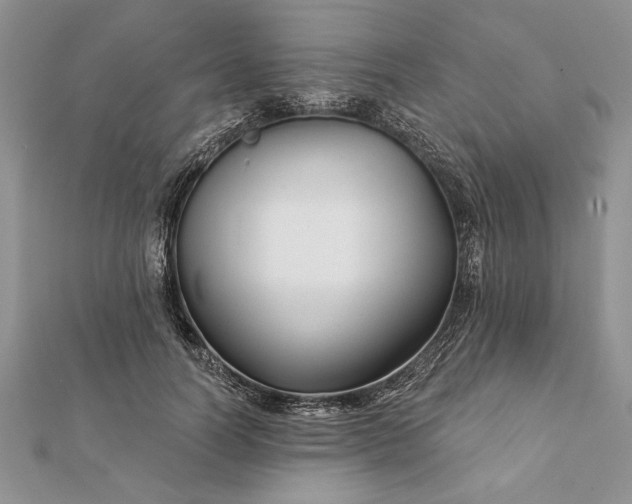 X0000112060746200908181157