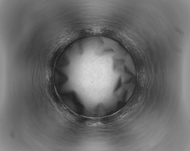 X0000112060747200908181157