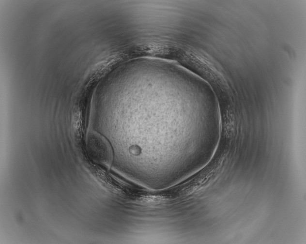 X0000112060748200908181157