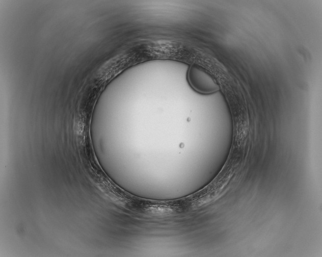 X0000112060749200908181157