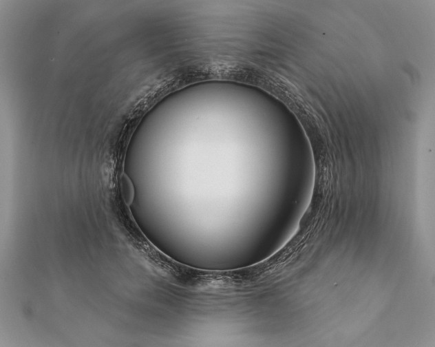 X0000112060750200908181157