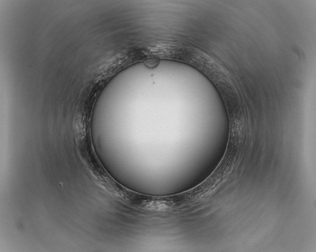 X0000112060751200908181157