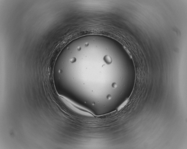 X0000112060752200908181157