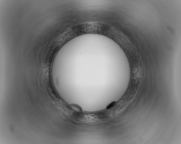 X0000112060753200908181157