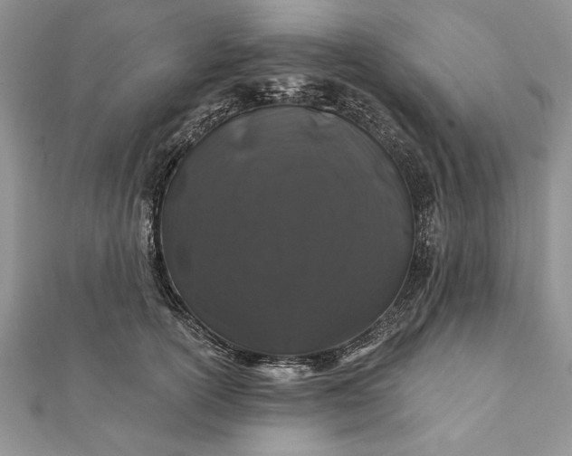 X0000112060754200908181157