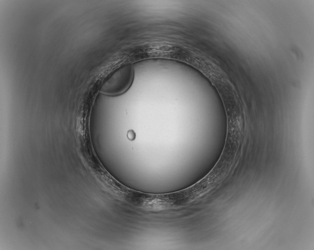 X0000112060755200908181157