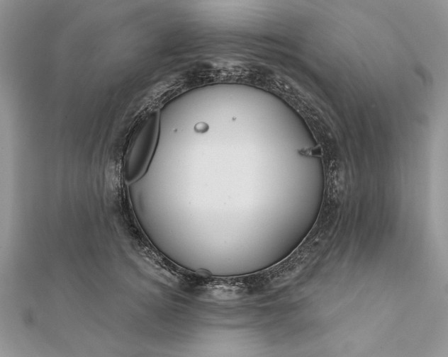 X0000112060756200908181157