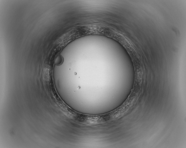 X0000112060757200908181157