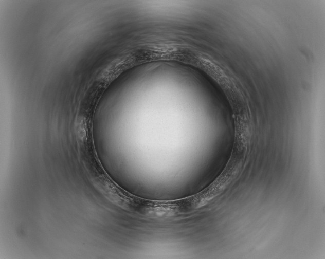 X0000112060758200908181157