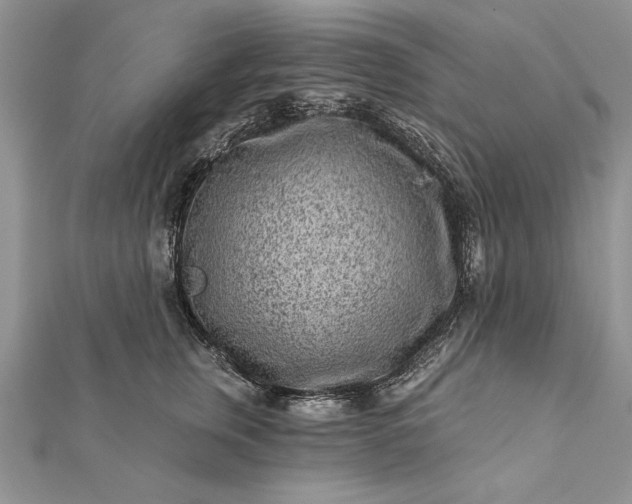 X0000112060759200908181157