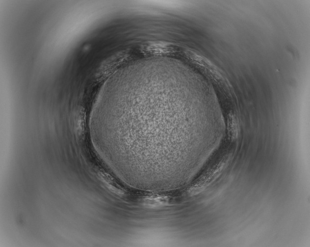 X0000112060760200908181157