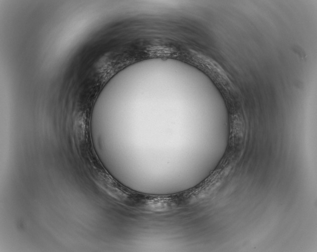 X0000112060761200908181157