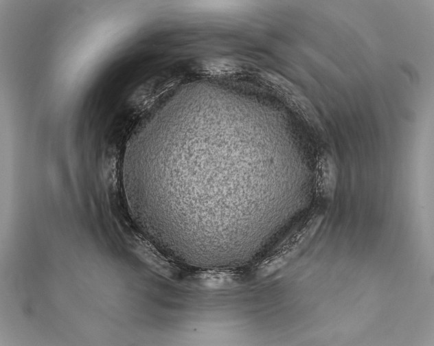 X0000112060762200908181157