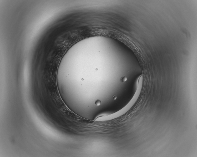 X0000112060764200908181158