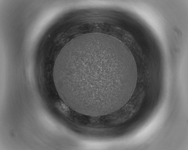 X0000112060766200908181158