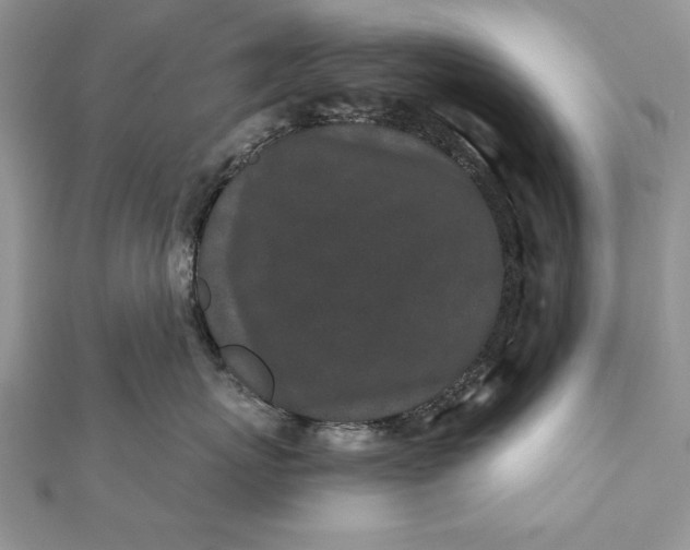 X0000112060767200908181158