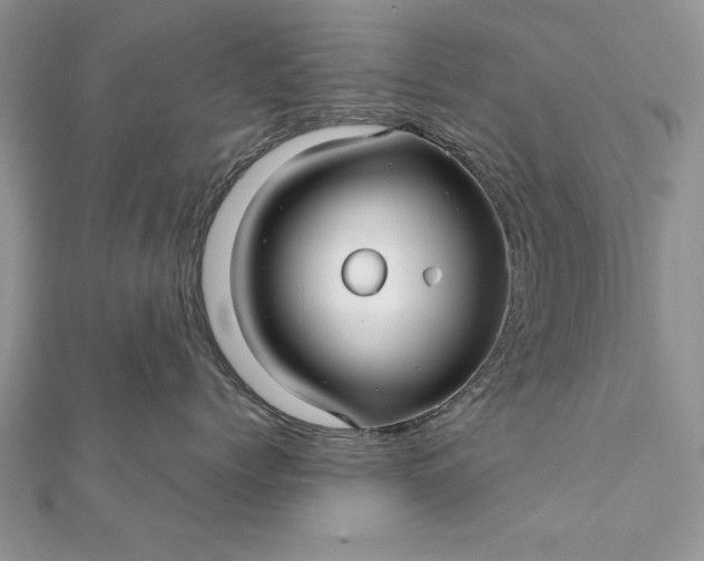 X0000112060768200908181158