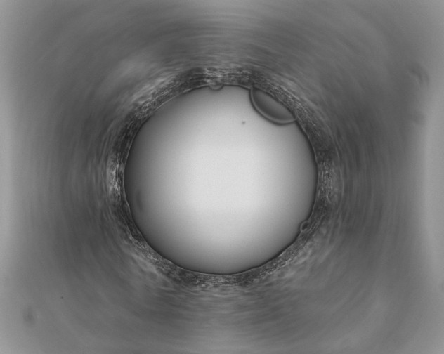 X0000112060770200908181157