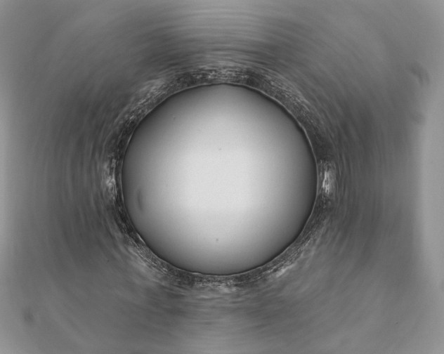 X0000112060771200908181157