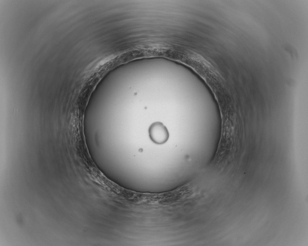 X0000112060773200908181157