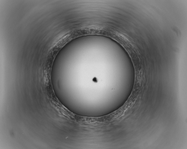 X0000112060774200908181157