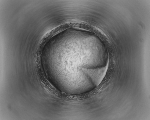 X0000112060775200908181157