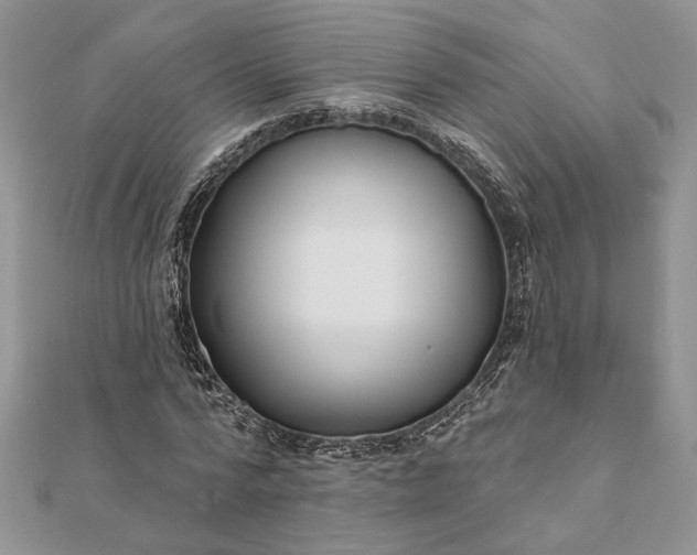 X0000112060776200908181157