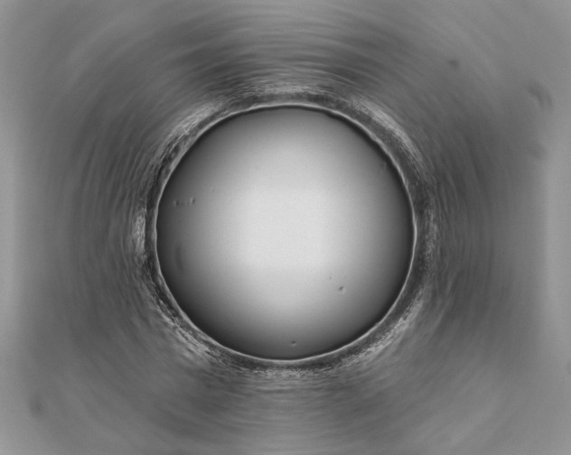 X0000112060777200908181157