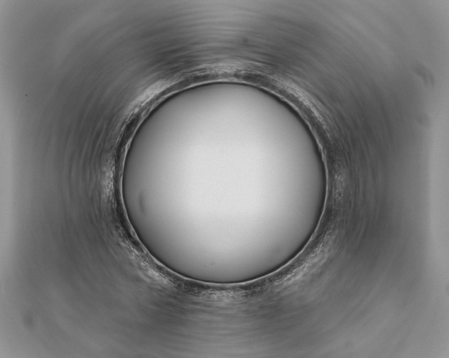 X0000112060778200908181157