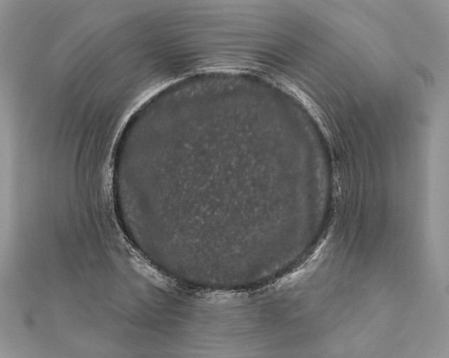 X0000112060779200908181157