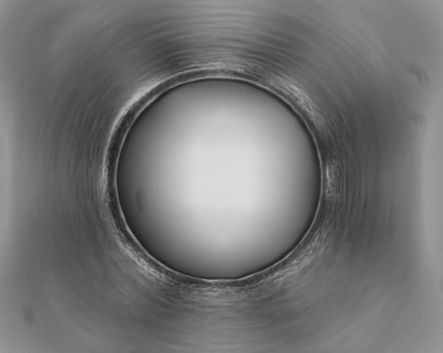 X0000112060780200908181157