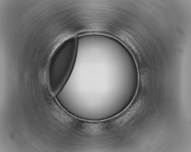 X0000112060781200908181157