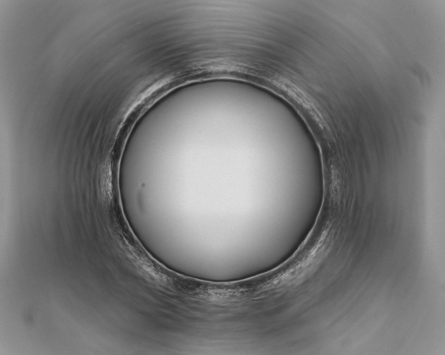 X0000112060782200908181157