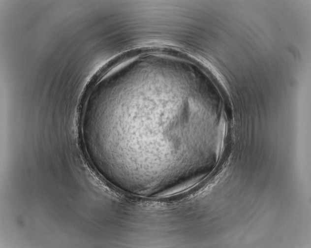 X0000112060783200908181157