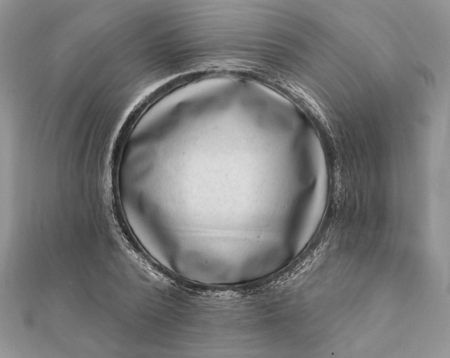 X0000112060784200908181157